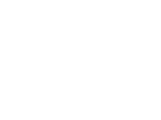 LANÇAMENTO DE PRODUTOS