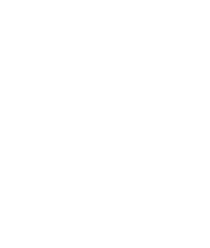 MEETINGS E WORKSHOPS